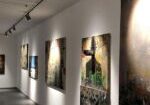gallery-3